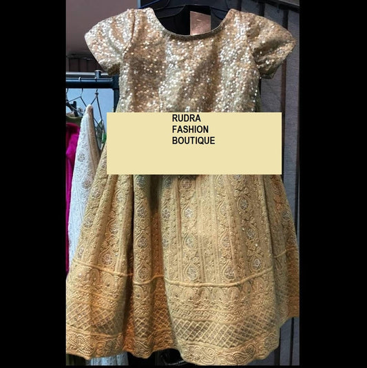 Golden Chikankari Pure Georgette hand Embroidered Lucknowi Chikan Lehenga Indian Handmade Chikankari Dyable Premium lehenga Lenga for women