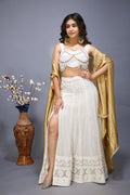 White Lehenga Choli - full view