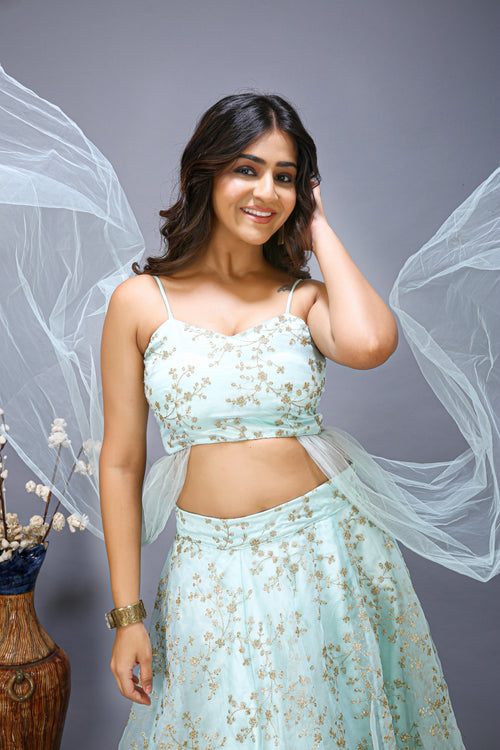 Beautiful Embroidered made lehenga choli with Sequence work - top view