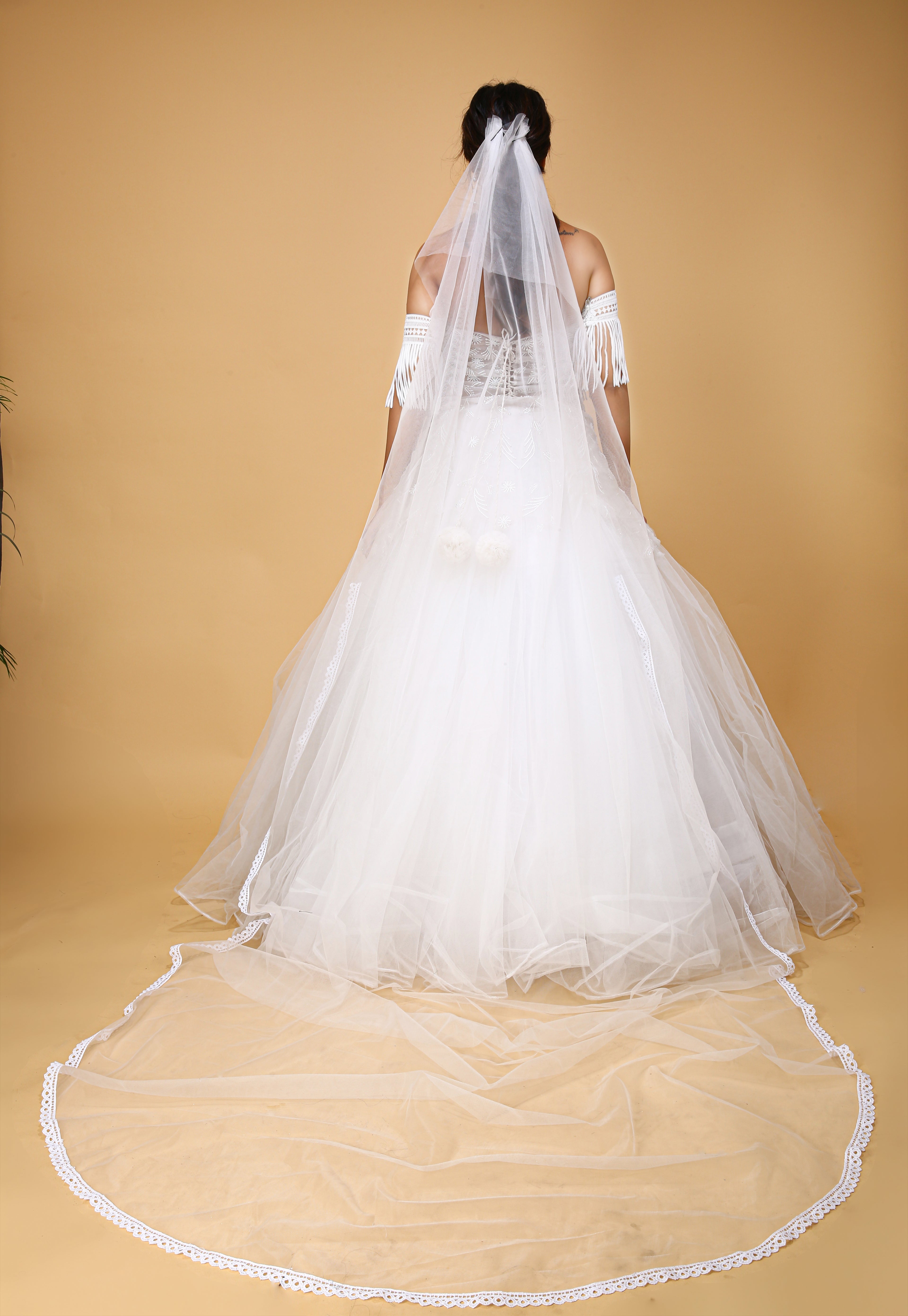 Princess Bridal Gown - back view