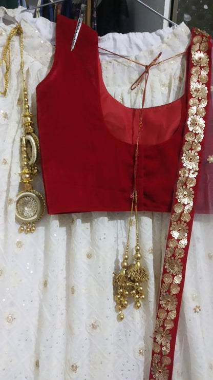 Red Lehenga Choli lenga lehnga Chania choli Function wear lehenga choli Wedding wear lengha for women Indian ethnic wear full set sari