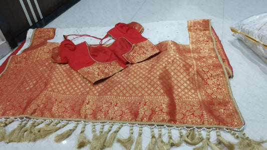 Handmade Pure Chikankari Georgette saree Designer saree Bridal saree Party wear saree wedding saree Full Work hand Embroidered Lucknowi sari