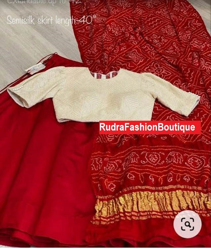 Red Lucknowi Lehenga choli party wear designer Indian wedding Bridal lengha saree for women Chikankari work lehenga Embroidery lengha